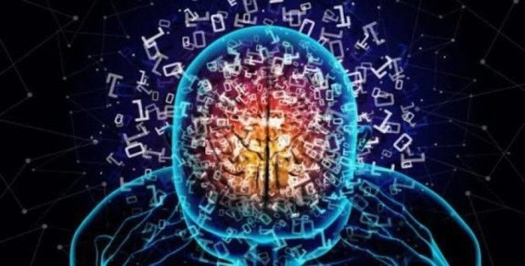 Olumlu deneyimlere odaklanmak beynin yapısını yeniden şekillendiriyor