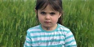 Ağrı'daki Leyla Aydemir davasında amca tutuklandı