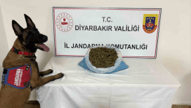 Diyarbakır’da 41 kilo esrar ele geçirildi