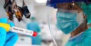 Dünya Sağlık Örgütü'nden korkutan virüs uyarısı: Nipah virüsü Hindistan'da yayılıyor