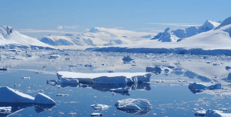 Buzulların altında saklanan 34 milyon yıllık 'Kayıp Dünya' keşfedildi