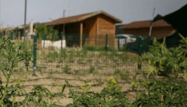 Hobi bahçelerine yeni yaptırım geliyor: Tarım arazilerine yapılaşmanın önüne geçilecek