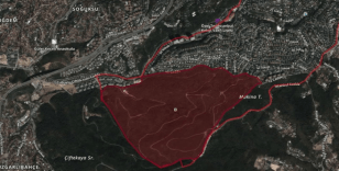 Beykoz’da ormanlık alan imara açıldı: Hissedar şirketin yöneticisi İBB itirafçısı olduğu iddia edilen isim çıktı