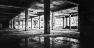 Türkiye'nin zeytin devleri arasında yer alıyordu: 40 yıllık şirket konkordato ilan etti