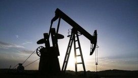 Bakan Bayraktar canlı yayında açıkladı: Petrol müjdesi gelebilir