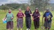 Akbelen’de direniş sonuç verdi: Danıştay, acele kamulaştırma kararının yürütmesini durdurdu