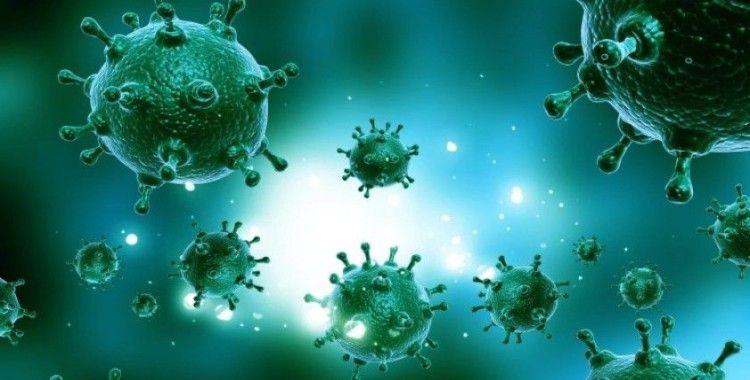 ABD'de Hantavirüs alarmı! 2 kişi gözetim altında