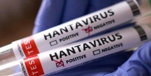 Sağlık Bakanlığından 'hantavirüs' açıklaması: Türk vatandaşların test sonuçları negatif