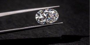 Mücevher devlerine operasyon, Zen ve Roberto Bravo listede