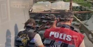23 ilde nitelikli dolandırıcılık operasyonu: 307 gözaltı