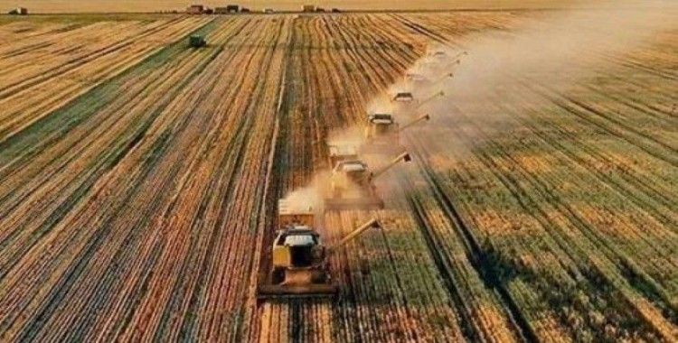Türkiye'nin tarımsal hasılası ilk kez 80 milyar doları aştı