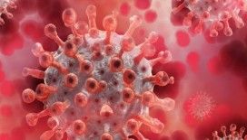 Kongo'daki Ebola salgınında vaka sayısı 2 bini aştı