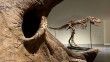 Nadir T. rex fosili 50,1 milyon dolara satılarak rekor kırdı
