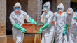 Ebola salgınında bilanço ağırlaşıyor: Ölü sayısı 967'ye yükseldi