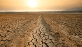 BM uyardı: El Nino 50 milyon kişiyi daha açlıkla karşı karşıya bırakabilir