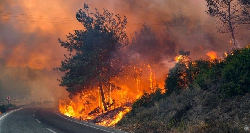 Kaş'ta orman yangını çıktı: Ekiplerin müdahalesi sürüyor