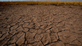 El Nino'nun etkileri devam ediyor: Dünyada nereler nasıl etkileniyor?