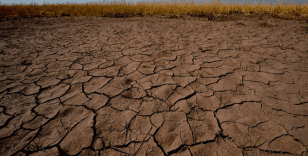El Nino'nun etkileri devam ediyor: Dünyada nereler nasıl etkileniyor?