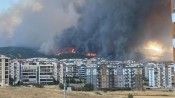 Çanakkale'de orman yangını: Ekipler bölgeye sevk edildi