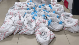 Hastane otoparkında 256 bin 900 sentetik ecza hapı bulundu