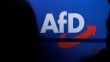 AfD'nin yükselişi Almanya Türk Toplumu'nda endişe yarattı