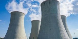 Japonya'da nükleer santralde radyoaktif sızıntı: Reaktör kapanıyor