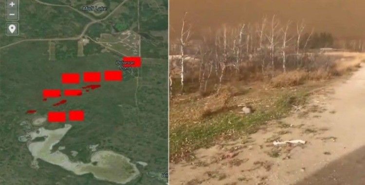 Kanada'da askeri üste büyük yangın: Ölü ve yaralılar var