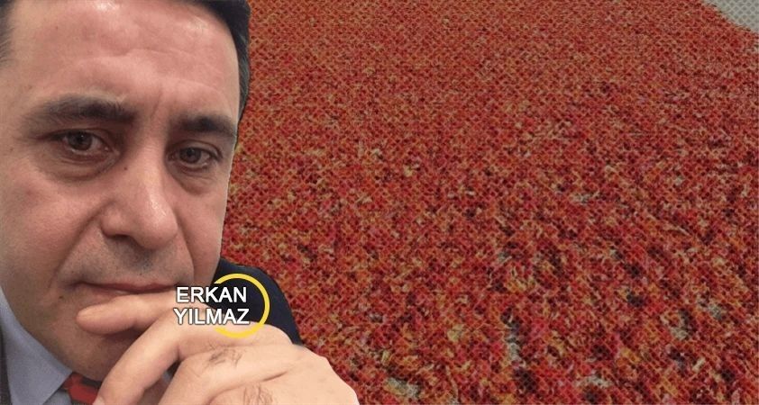 Toplumsal nefret ve muhabbet arasındaki ince çizgi ve Ak Parti tabanının isot tarlası