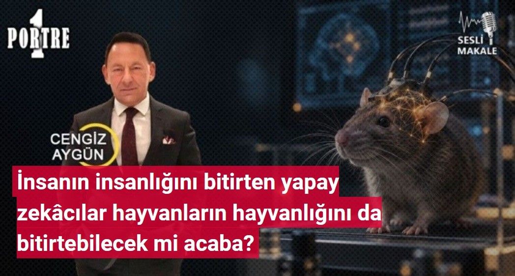 Bir Portre